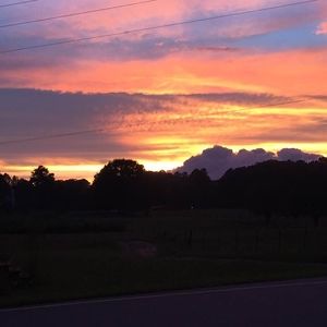 Meet your Posher, June